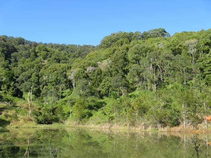 Lot 7 Geles Road Upper Burringbar, Burringbar NSW 2483