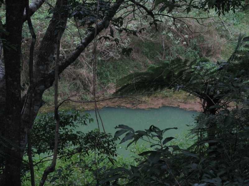 Lot 7 Geles Road Upper Burringbar, Burringbar NSW 2483