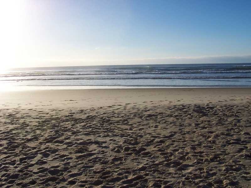 14 Muli Muli Avenue, Ocean Shores NSW 2483