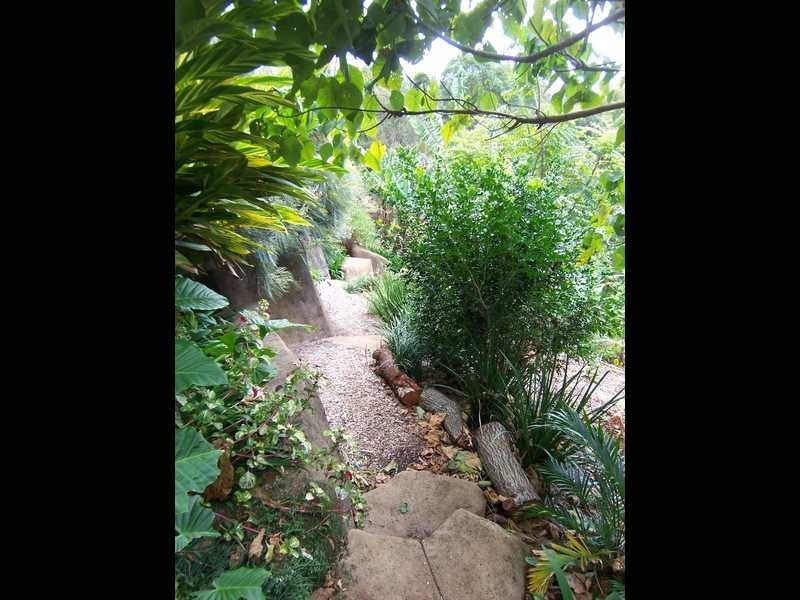 50 Tongarra Drive, Ocean Shores NSW 2483