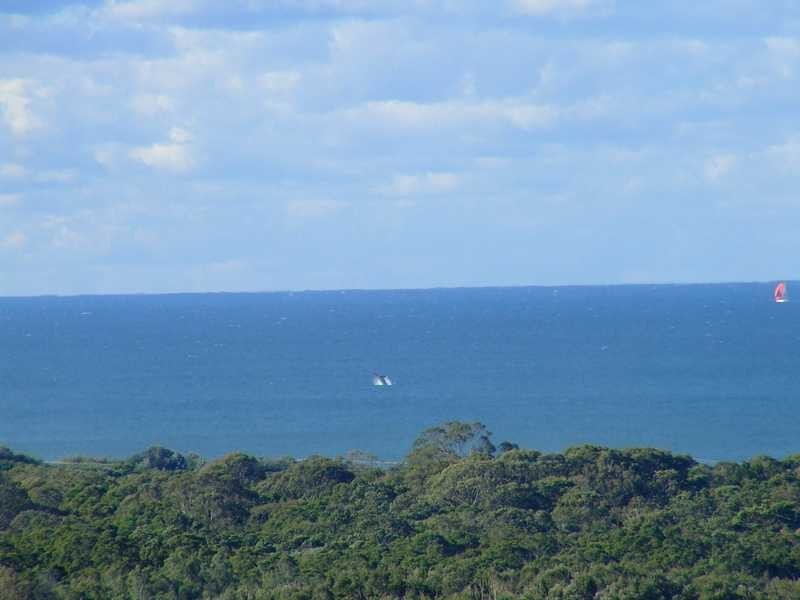 50 Tongarra Drive, Ocean Shores NSW 2483