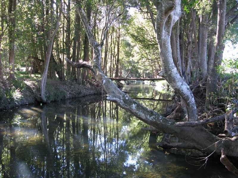 100 Upper Crystal Creek Road, Crystal Creek NSW 2484