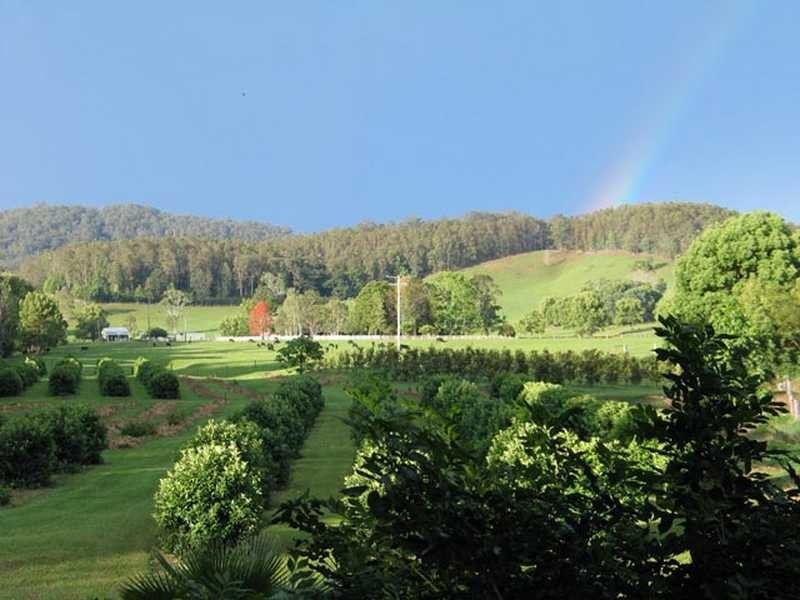 100 Upper Crystal Creek Road, Crystal Creek NSW 2484