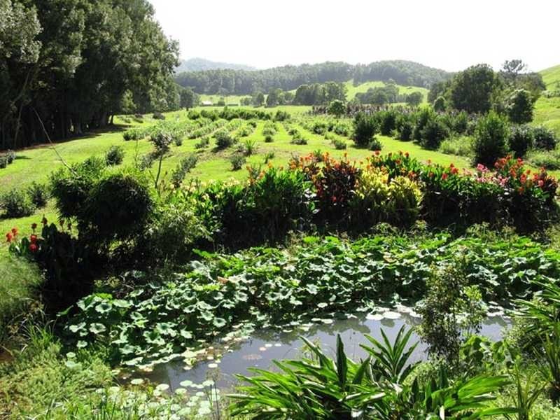 100 Upper Crystal Creek Road, Crystal Creek NSW 2484