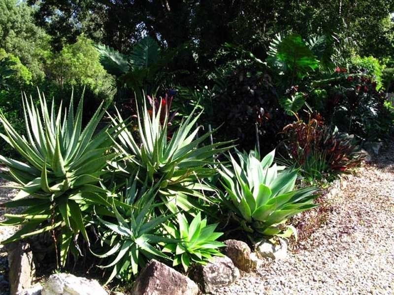 100 Upper Crystal Creek Road, Crystal Creek NSW 2484