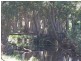 100 Upper Crystal Creek Road, Crystal Creek NSW 2484