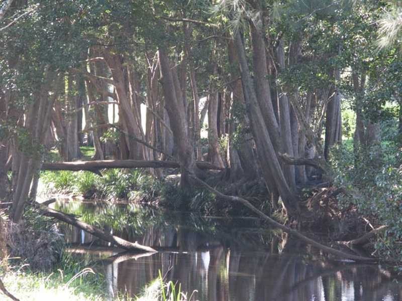 100 Upper Crystal Creek Road, Crystal Creek NSW 2484