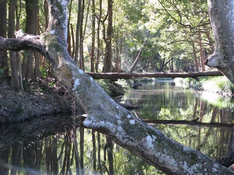 100 Upper Crystal Creek Road, Crystal Creek NSW 2484