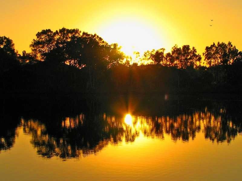 5 Berrimbillah Court, Ocean Shores NSW 2483