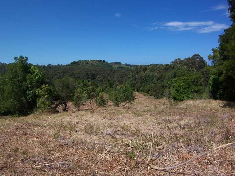 Lot 1 She Oak Road, Goonengerry NSW 2482