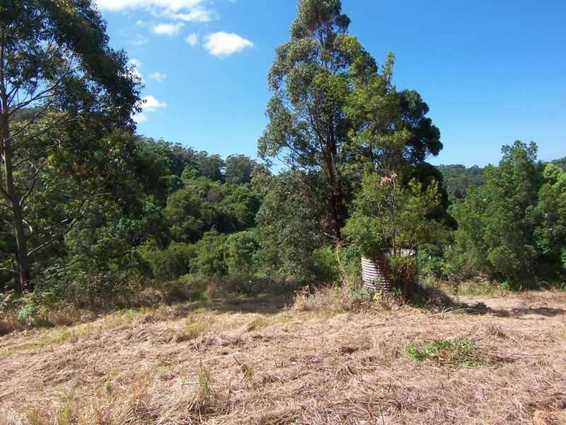 Lot 1 She Oak Road, Goonengerry NSW 2482