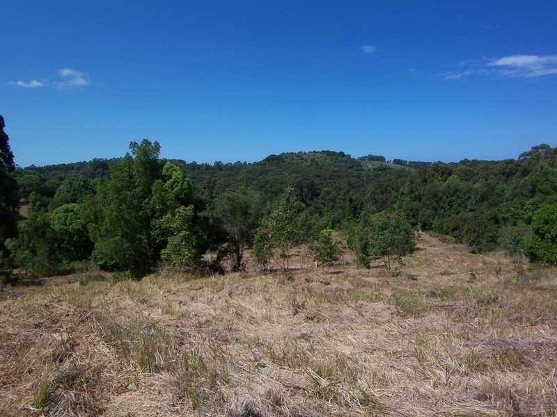 Lot 1 She Oak Road, Goonengerry NSW 2482