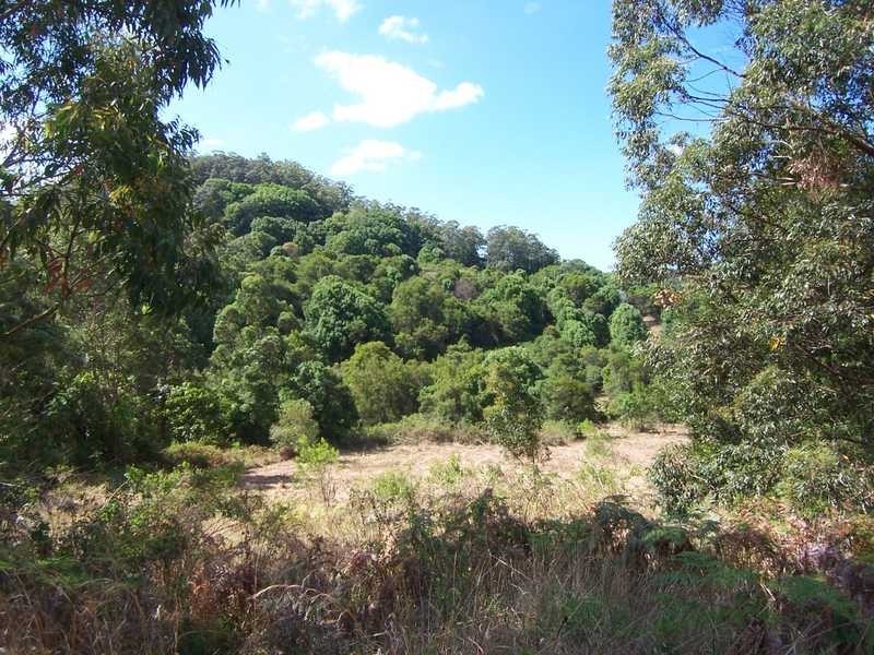 Lot 1 She Oak Road, Goonengerry NSW 2482