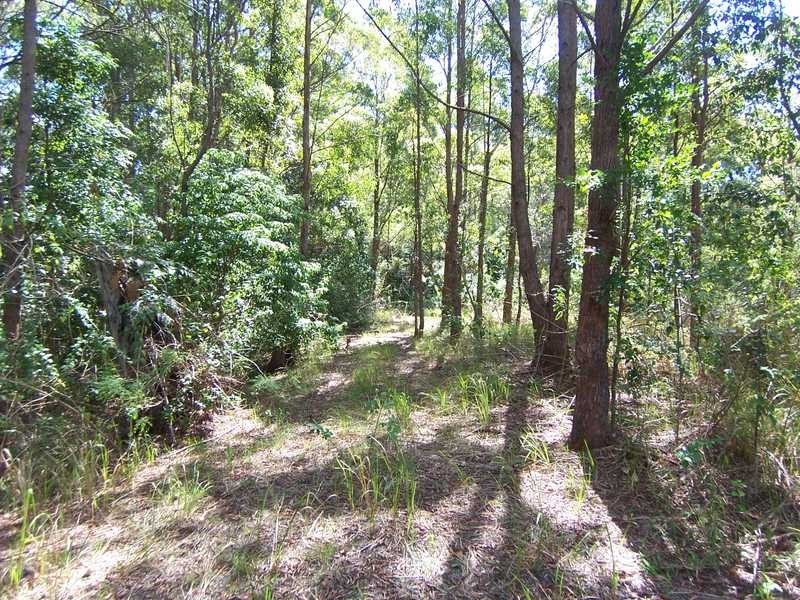 Lot 1 She Oak Road, Goonengerry NSW 2482