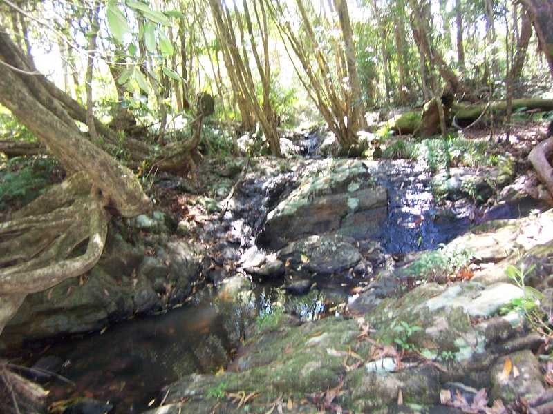 Lot 1 She Oak Road, Goonengerry NSW 2482