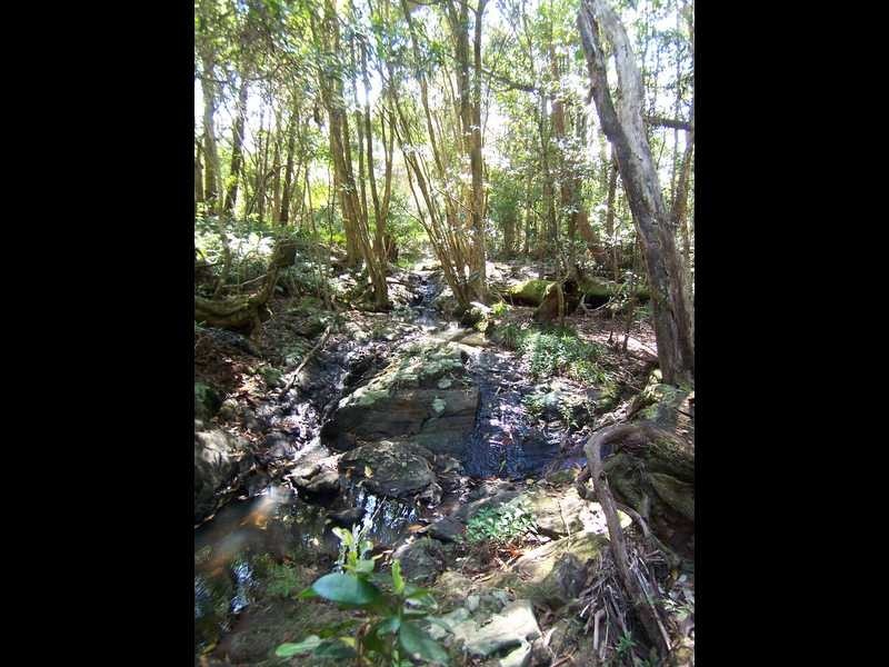 Lot 1 She Oak Road, Goonengerry NSW 2482