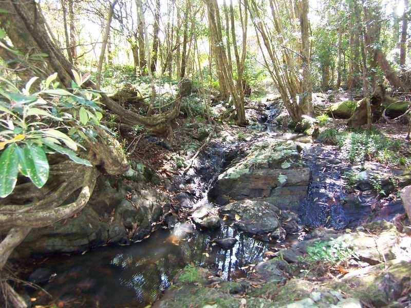 Lot 1 She Oak Road, Goonengerry NSW 2482