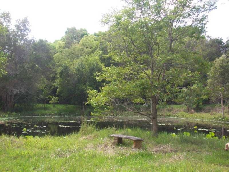 296A Tyagarah Road, Tyagarah NSW 2481