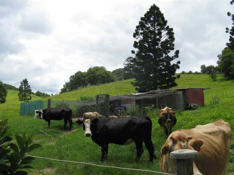 310 The Pocket Road, The Pocket NSW 2483