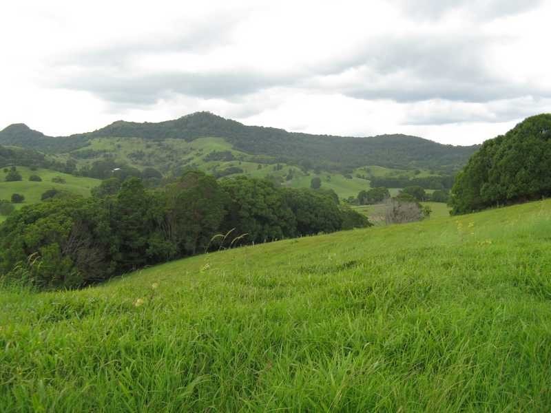 310 The Pocket Road, The Pocket NSW 2483