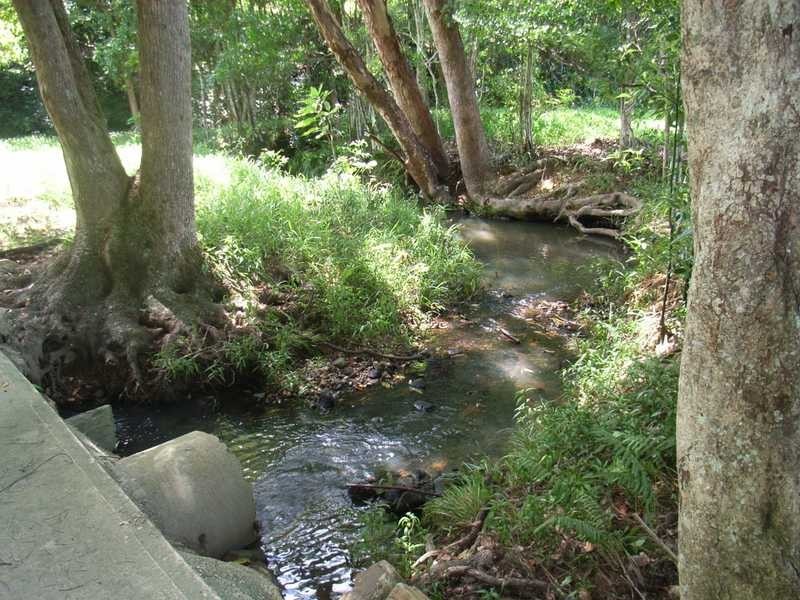 34 Wallaroo Drive, Burringbar NSW 2483