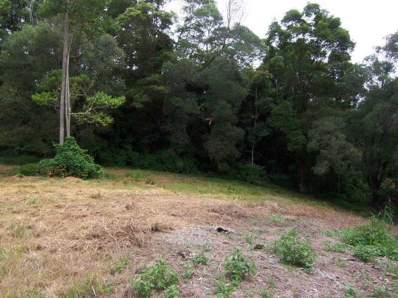 1 Warrambool Road, Ocean Shores NSW 2483