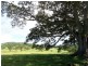 66 The Pocket Road, Billinudgel NSW 2483