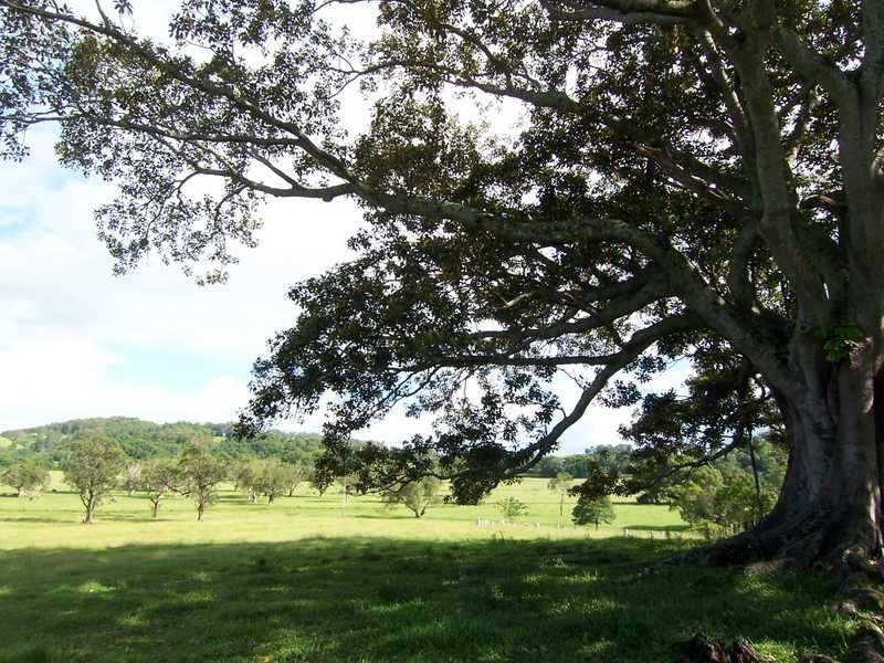 66 The Pocket Road, Billinudgel NSW 2483