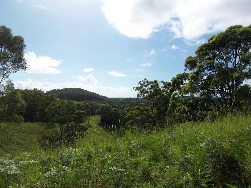 66 The Pocket Road, Billinudgel NSW 2483