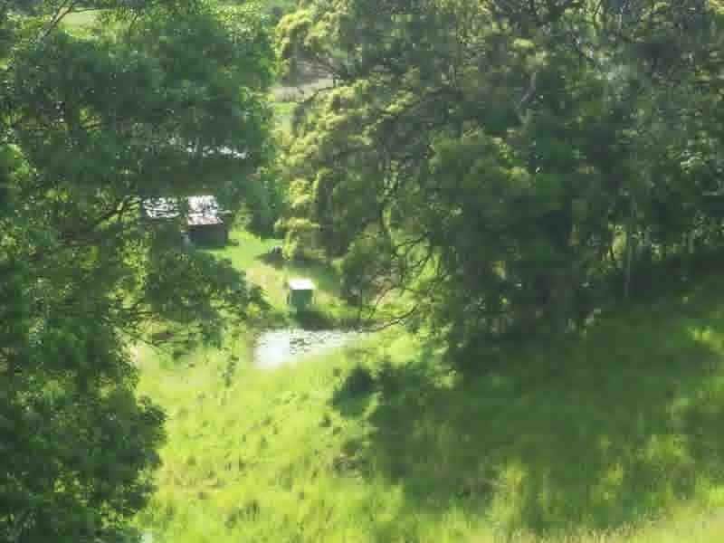 66 The Pocket Road, Billinudgel NSW 2483