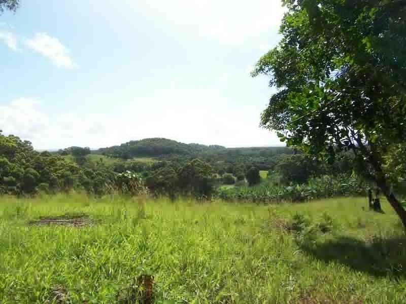 66 The Pocket Road, Billinudgel NSW 2483