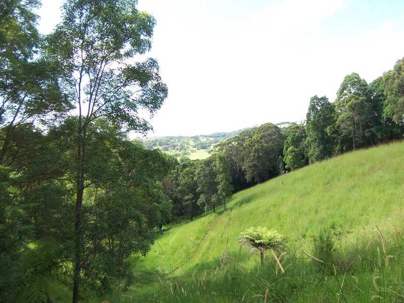 66 The Pocket Road, Billinudgel NSW 2483