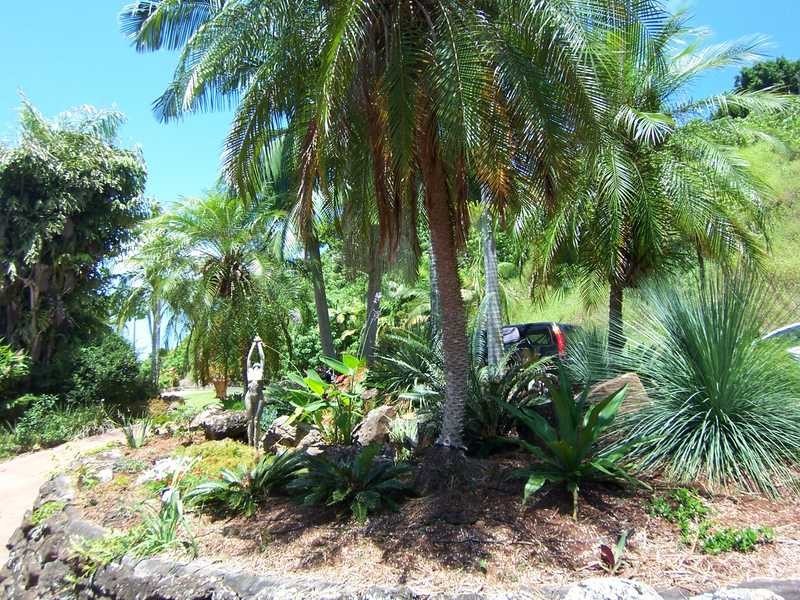 Ocean Shores NSW 2483