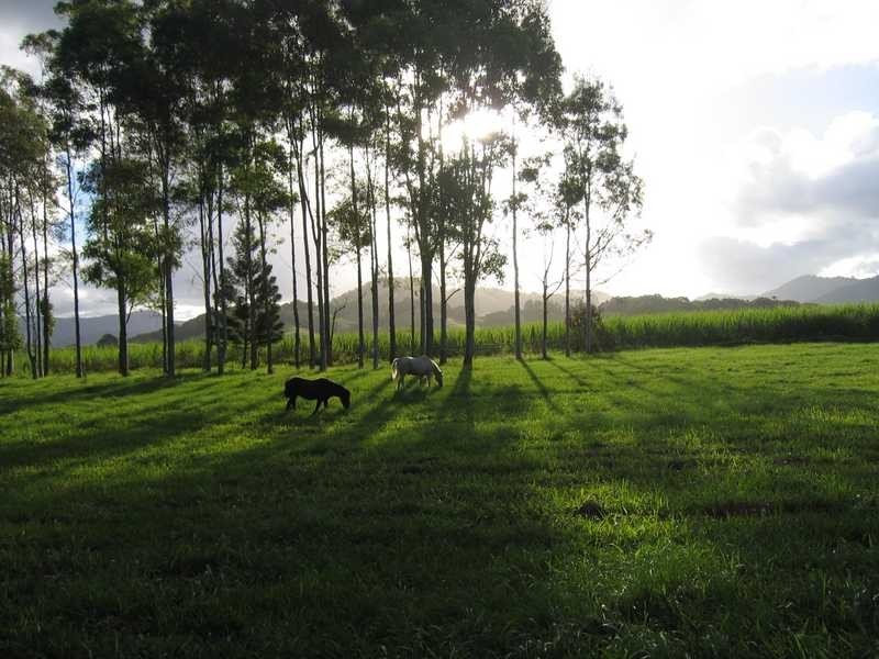 99 Middle Pocket Road, Middle Pocket NSW 2483