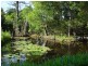 99 Middle Pocket Road, Middle Pocket NSW 2483
