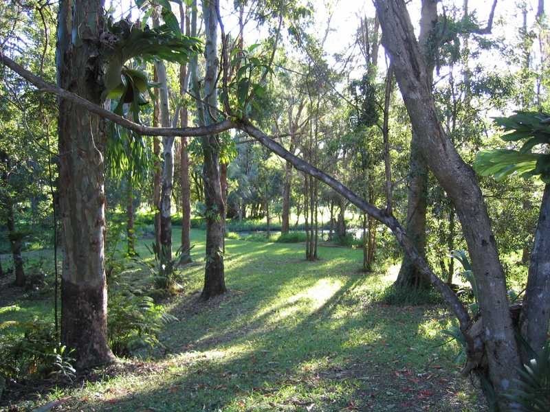 99 Middle Pocket Road, Middle Pocket NSW 2483