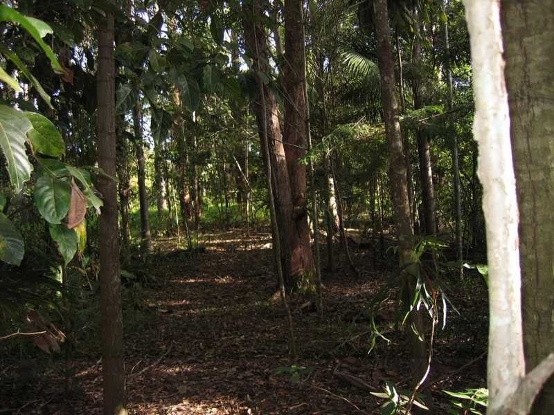 99 Middle Pocket Road, Middle Pocket NSW 2483