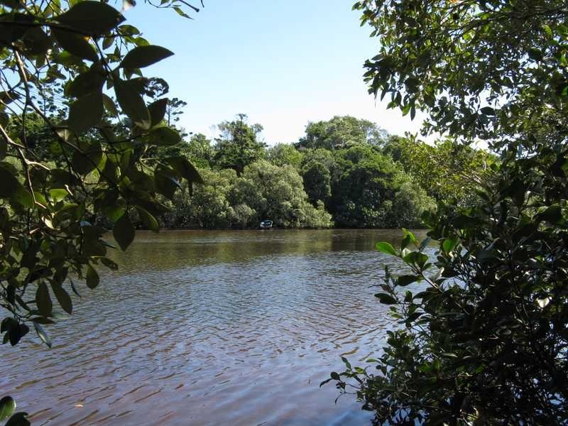 8 Short Street, New Brighton NSW 2483