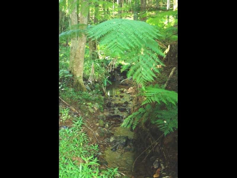 Lot 6 Binalong Ct, Burringbar NSW 2483