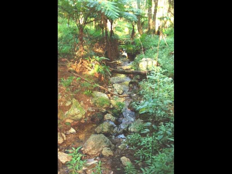 Lot 6 Binalong Ct, Burringbar NSW 2483