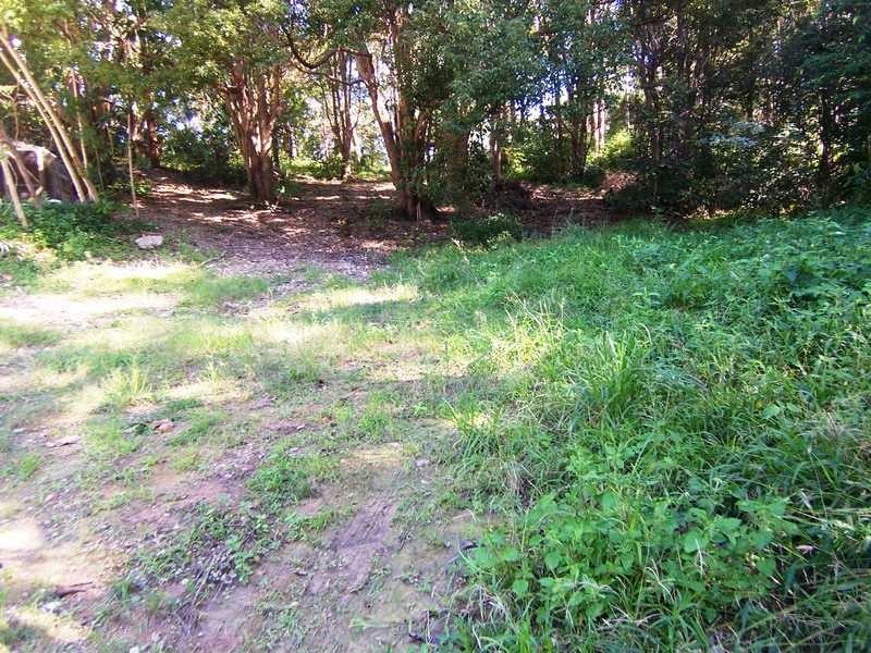 21 Mundurra Avenue, Ocean Shores NSW 2483