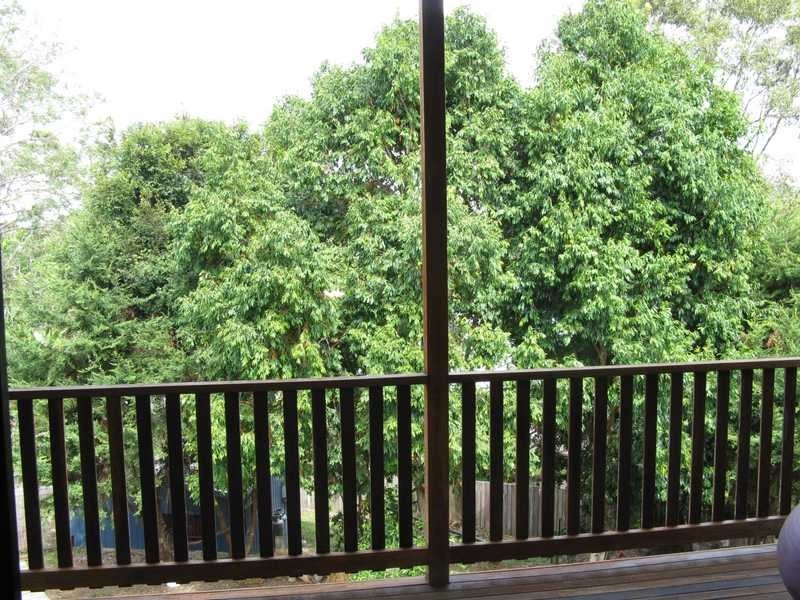 6 Paldi Court, Ocean Shores NSW 2483