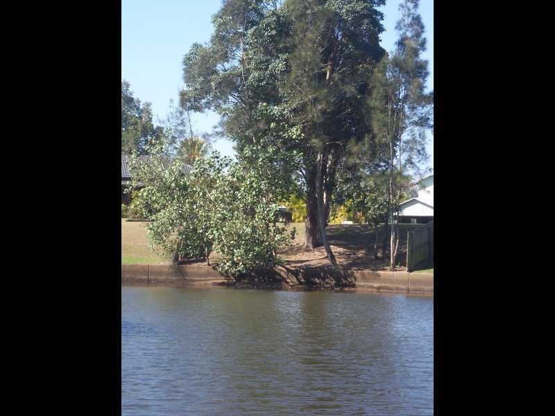 27 Natan Court, Ocean Shores NSW 2483