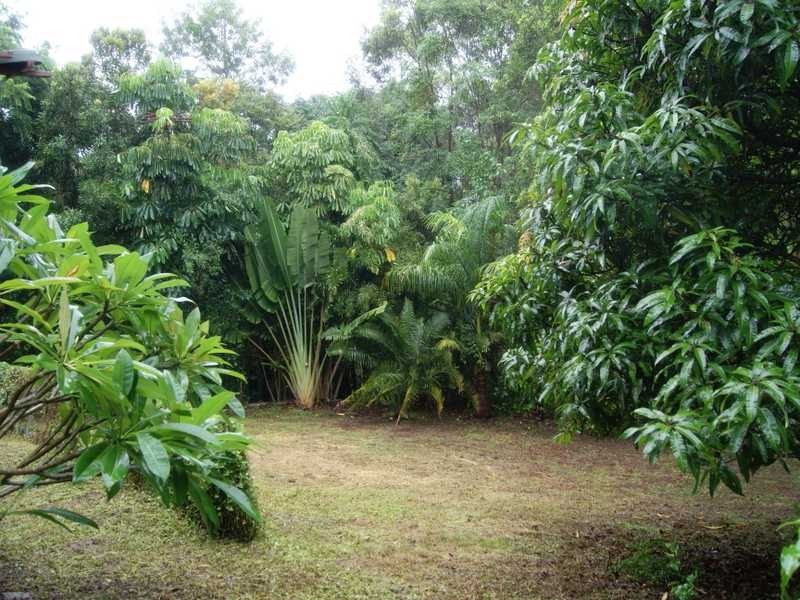 5 Dyum Place, Ocean Shores NSW 2483