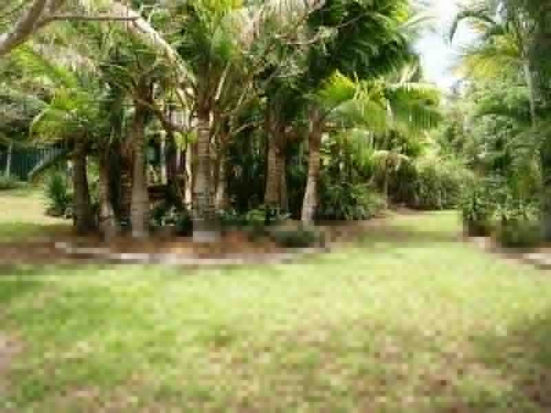 8 Kiyung Court, Ocean Shores NSW 2483