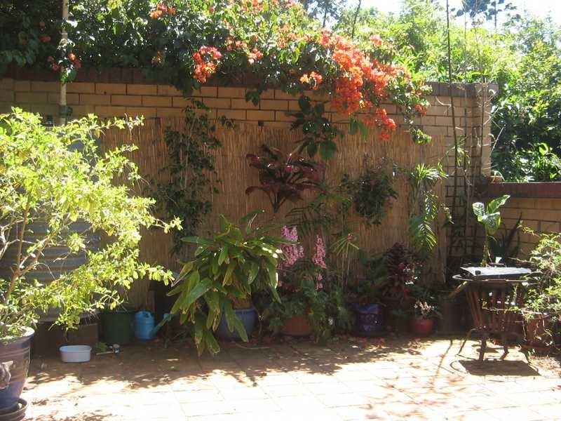 24 Wirruna Ave, Ocean Shores NSW 2483