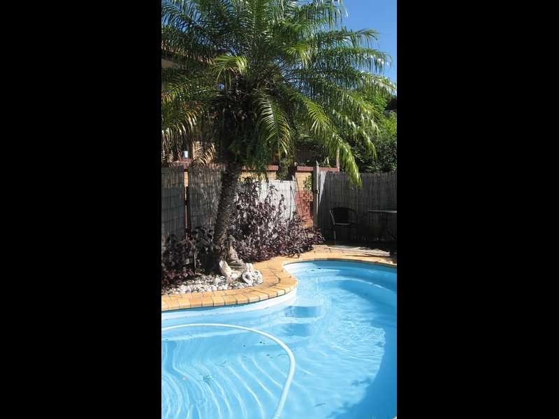 24 Wirruna Ave, Ocean Shores NSW 2483