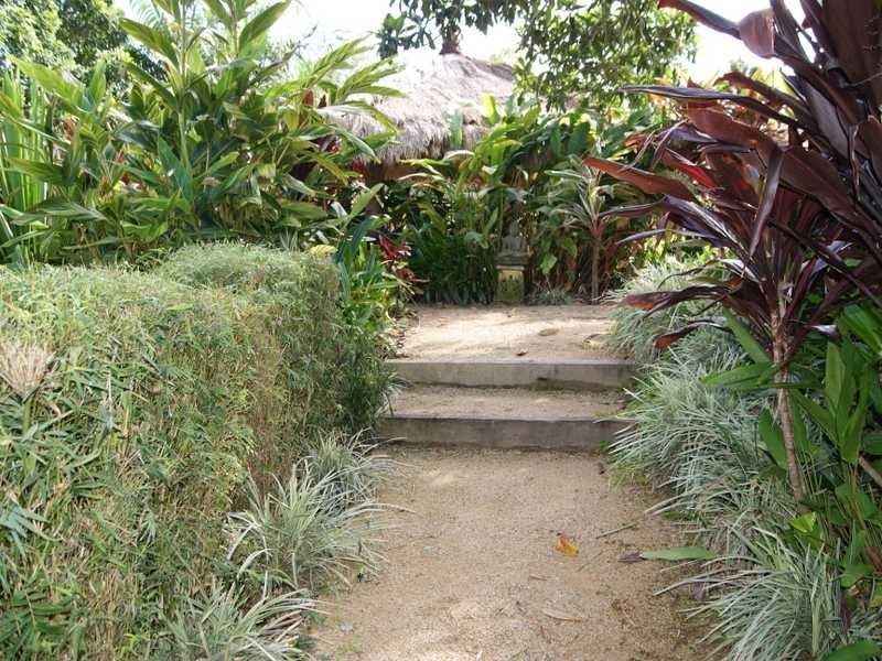 430 Crabbes Creek Road, Crabbes Creek NSW 2483