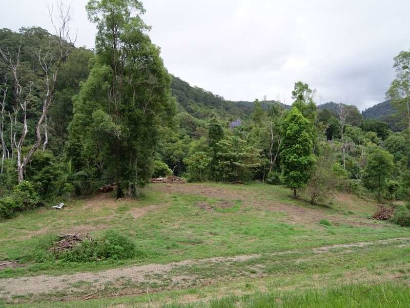 21 Dry Creek Road Upper Main Arm, Mullumbimby NSW 2482
