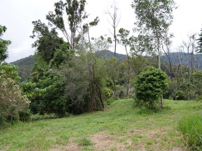 21 Dry Creek Road Upper Main Arm, Mullumbimby NSW 2482